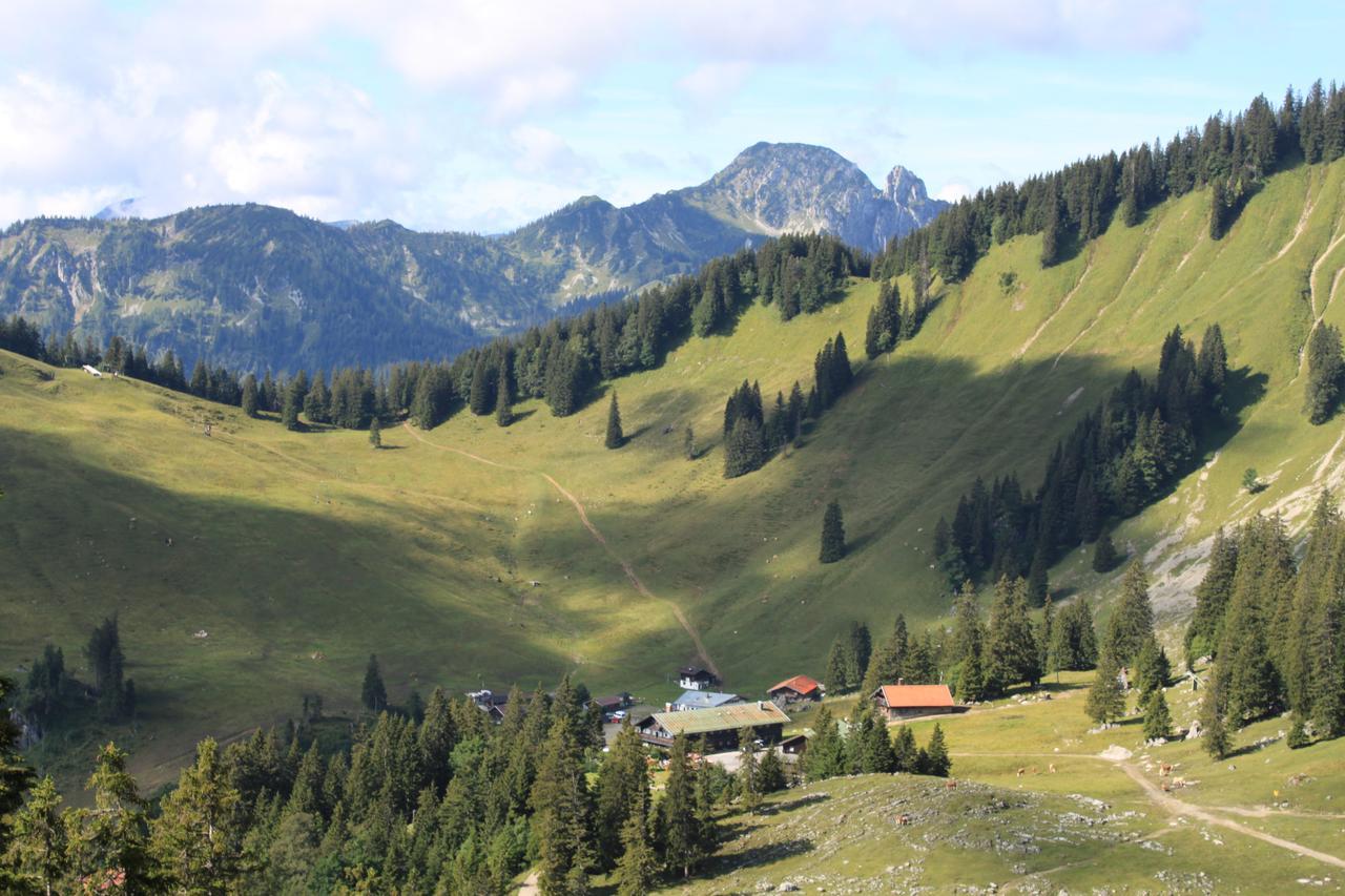 Berggasthof Obere Firstalm Шлирзе Экстерьер фото